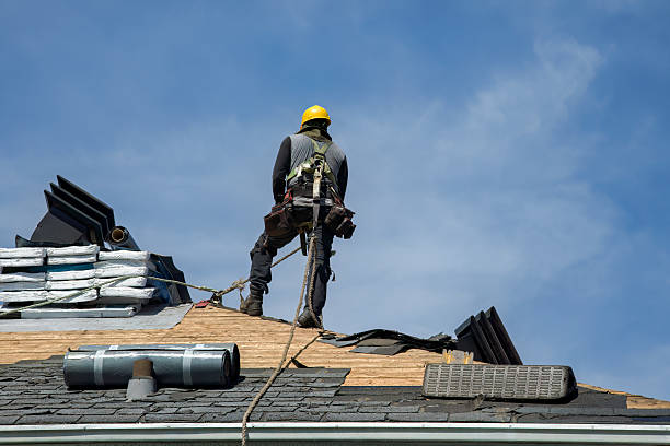 Professional Storm Damage Roof Repair technician working in Wilmington, IL